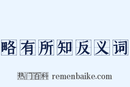 略有所知反义词是什么意思的图片